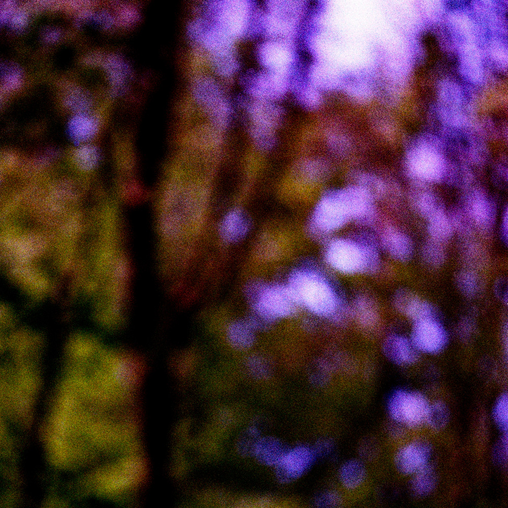 image: This is ‘
terres rouges (xxviii) 1
’.