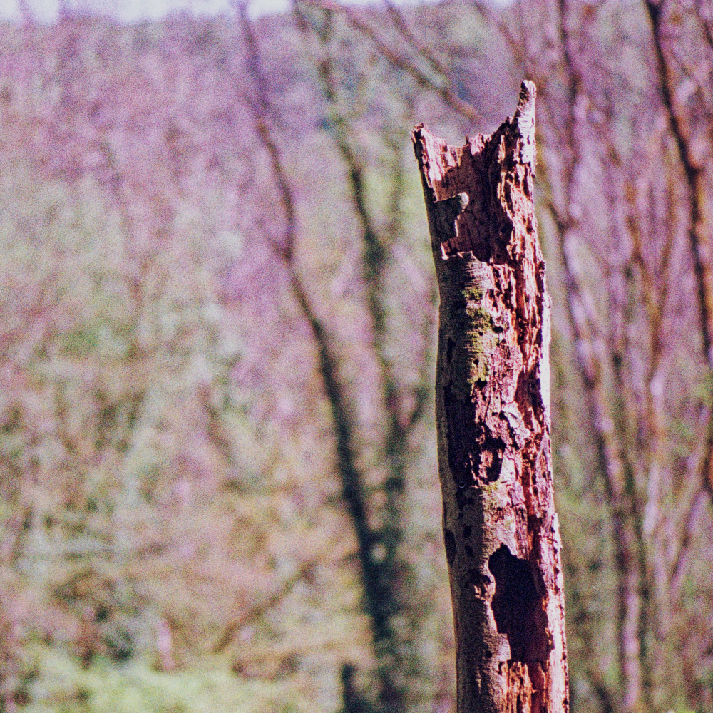 image: This is ‘
terres rouges (xxviii) 2
’.