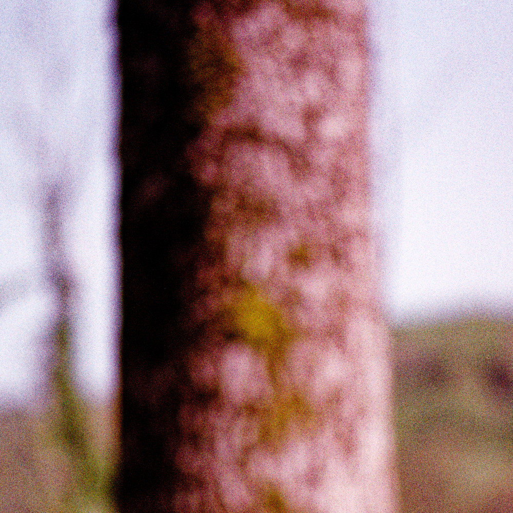 image: This is ‘
terres rouges (xxviii) 3
’.