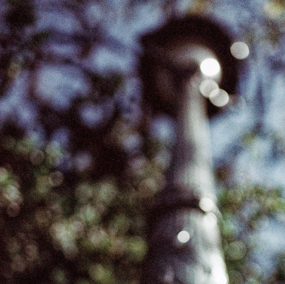 image: This is ‘
paris (xxi) 4
’.