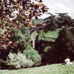 image: Image from the photoset ‘
paris (xxi)
’.