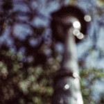 image: Image from the photoset ‘
paris (xxi)
’.