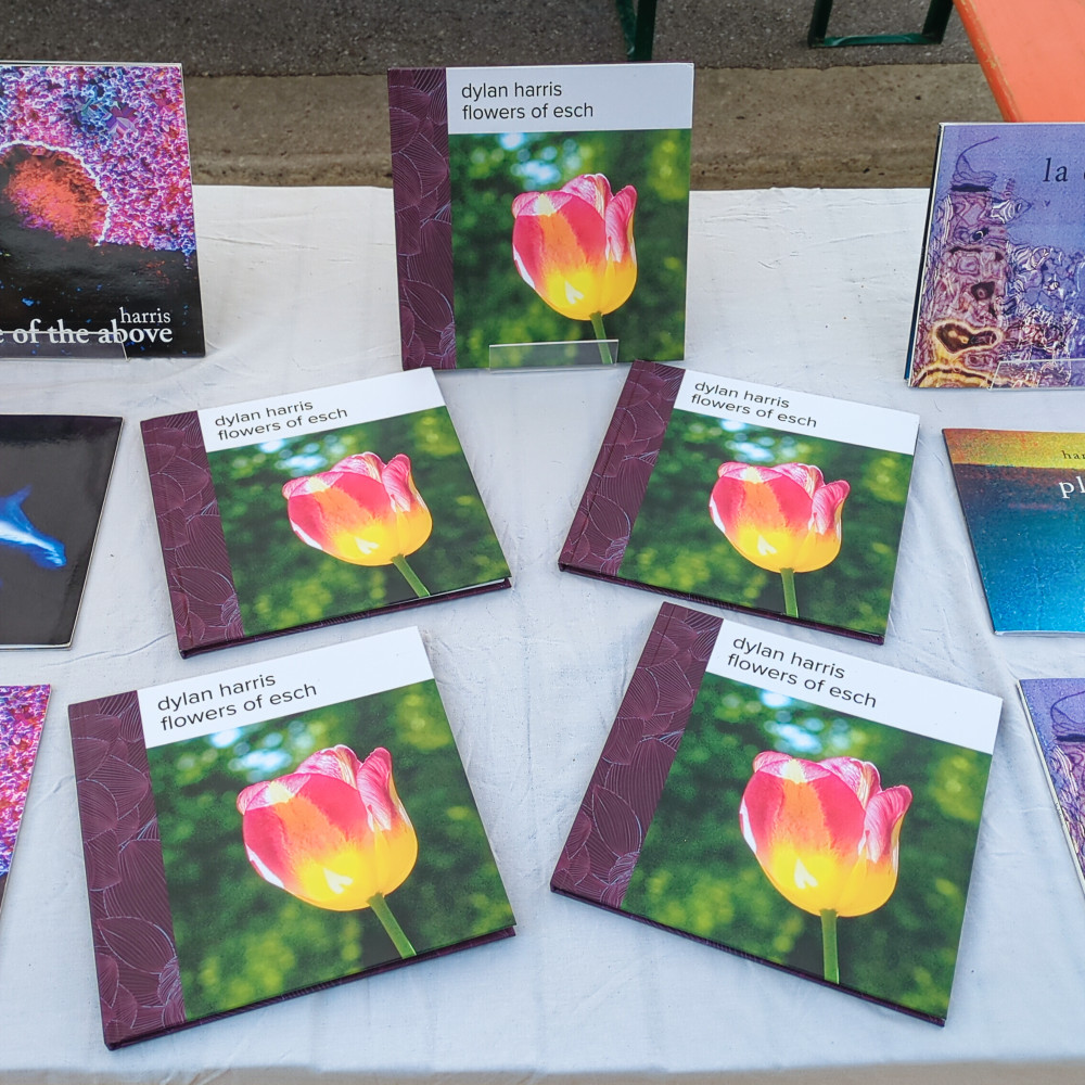 image: This is ‘
konscht am gronn (v) 5
’.