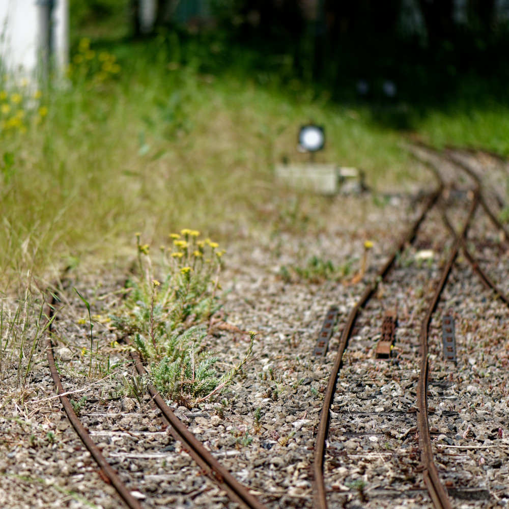 image: This is ‘
esch/uelzecht (xlvi) 6
’.