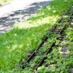 image: Image from the photoset ‘
esch/uelzecht (xlvi)
’.