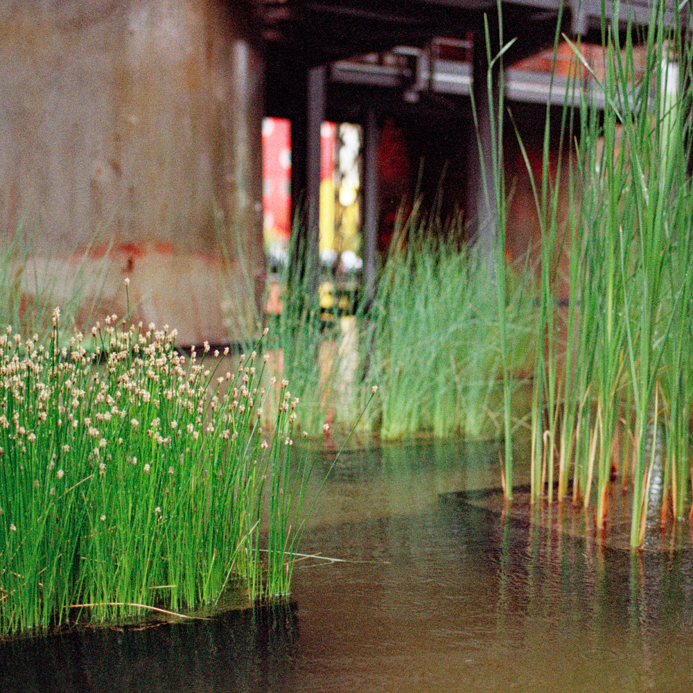 image: This is ‘
esch/uelzecht (xlvii) 2
’.