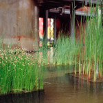 image: Image from the photoset ‘
esch/uelzecht (xlvii)
’.