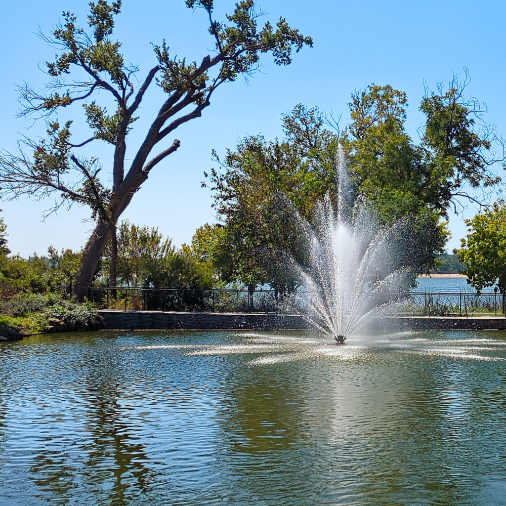 image: This is ‘
dallas (ii) 1
’.