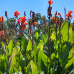 image: Image from the photoset ‘
dallas (ii)
’.