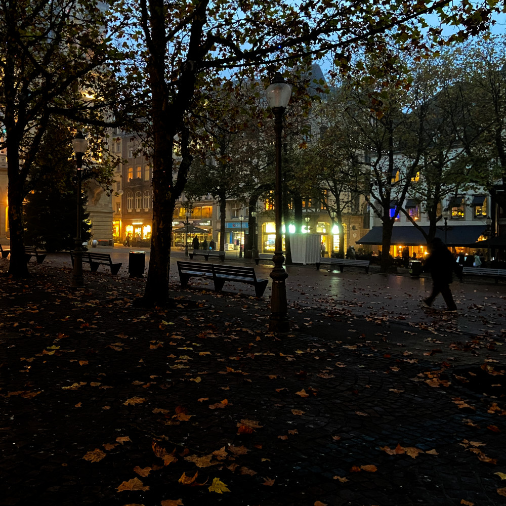 image: This is ‘
luxembourg (xiv) 1
’.