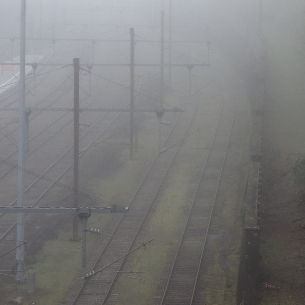 image: This is ‘
esch/uelzecht (xlviii) 1
’.