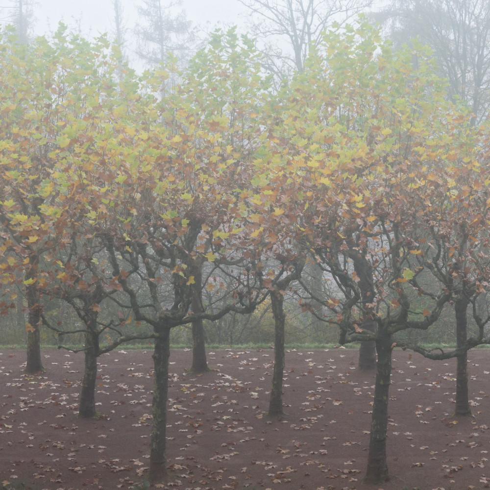 image: This is ‘
esch/uelzecht (xlviii) 4
’.