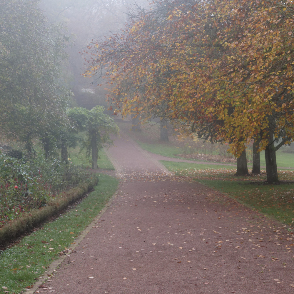 image: This is ‘
esch/uelzecht (xlviii) 5
’.