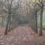 image: Image from the photoset ‘
esch/uelzecht (xlviii)
’.