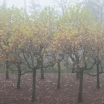 image: Image from the photoset ‘
esch/uelzecht (xlviii)
’.