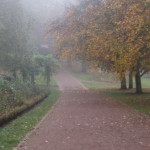 image: Image from the photoset ‘
esch/uelzecht (xlviii)
’.