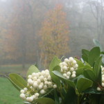 image: Image from the photoset ‘
esch/uelzecht (xlviii)
’.