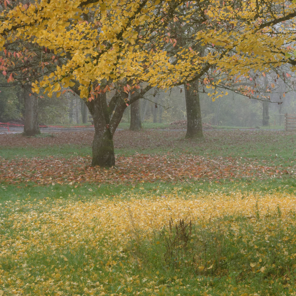 image: This is ‘
esch/uelzecht (il) 1
’.