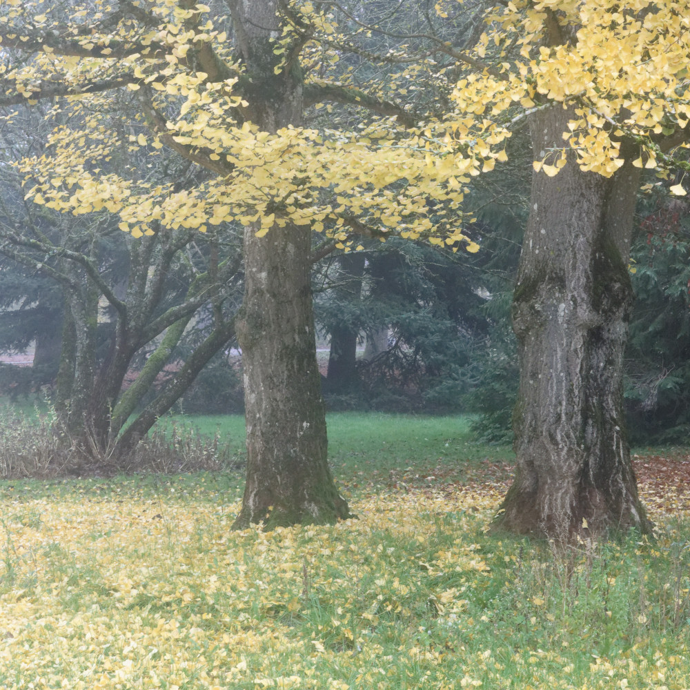 image: This is ‘
esch/uelzecht (il) 2
’.