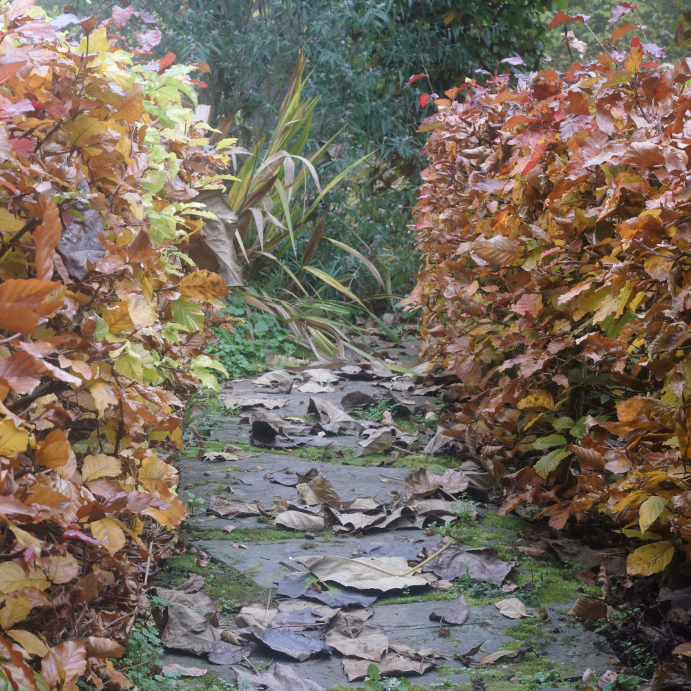 image: This is ‘
esch/uelzecht (il) 3
’.