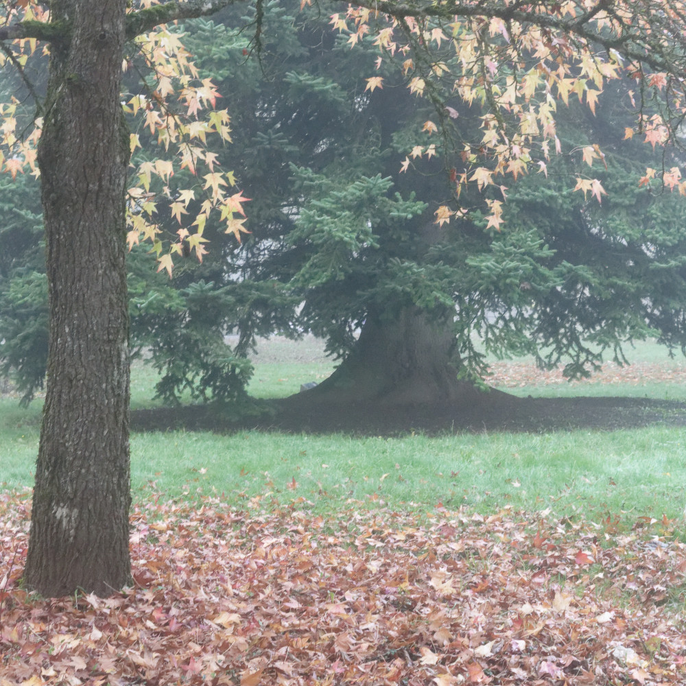 image: This is ‘
esch/uelzecht (il) 4
’.