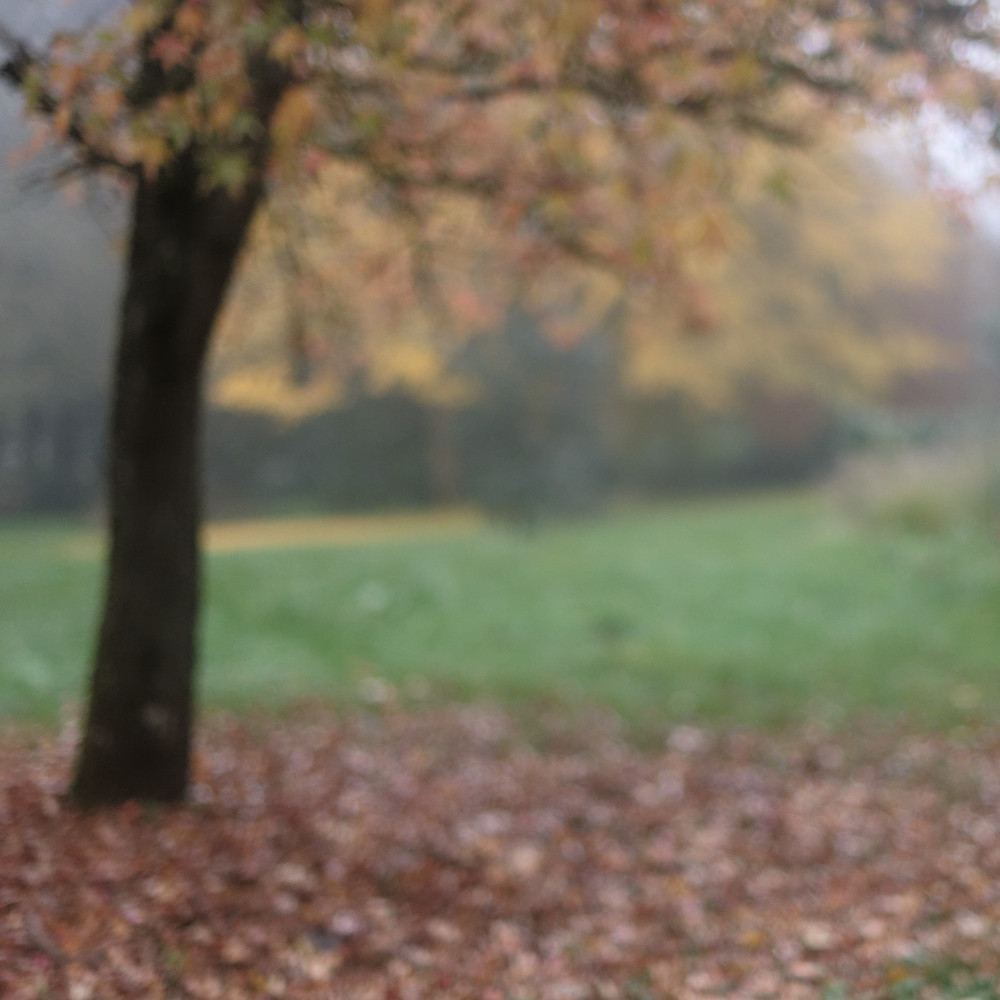 image: esch gaalgebierg