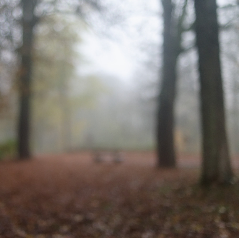 image: This is ‘
esch/uelzecht (il) 9
’.