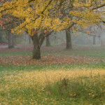 image: Image from the photoset ‘
esch/uelzecht (il)
’.