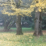 image: Image from the photoset ‘
esch/uelzecht (il)
’.