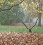 image: Image from the photoset ‘
esch/uelzecht (il)
’.