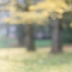 image: Image from the photoset ‘
esch/uelzecht (il)
’.