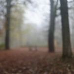 image: Image from the photoset ‘
esch/uelzecht (il)
’.