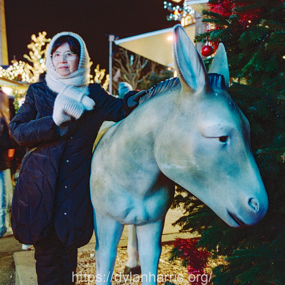 image: This is ‘
L (l) 1
’.