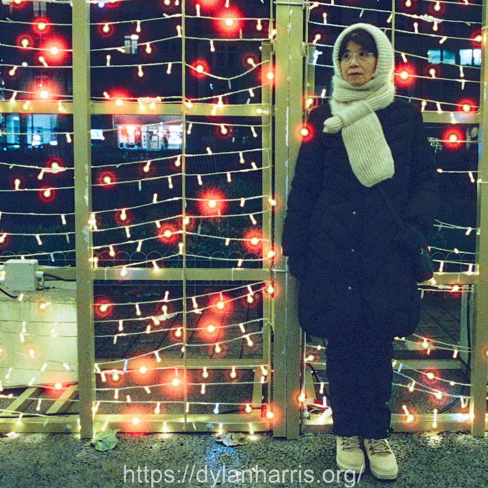 image: This is ‘
L (l) 2
’.