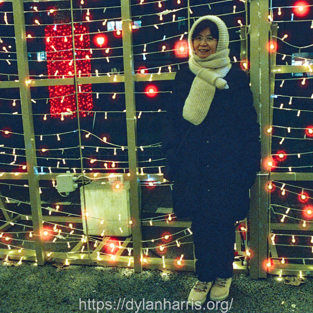 image: This is ‘
L (l) 3
’.