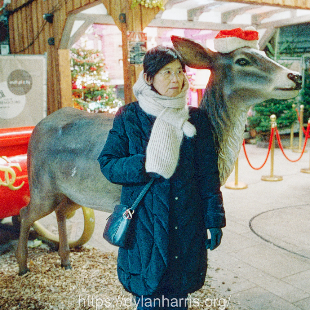 image: This is ‘
L (l) 5
’.