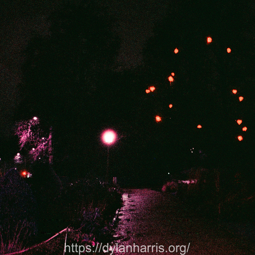 image: This is ‘
christmas lights (i) 3
’.