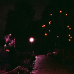 image: Image from the photoset ‘
christmas lights (i)
’.