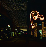 image: Image from the photoset ‘
christmas lights (i)
’.