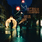 image: Image from the photoset ‘
christmas lights (i)
’.