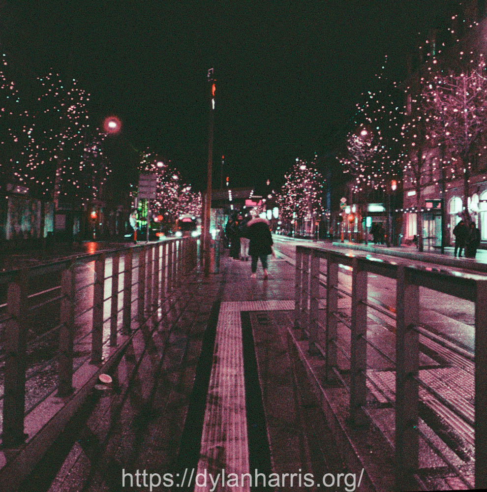 image: This is ‘
christmas lights (ii) 1
’.