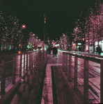 image: Image from the photoset ‘
christmas lights (ii)
’.