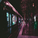 image: christmas lights (ii)