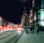 image: Image from the photoset ‘
christmas lights (ii)
’.