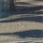 image: Image from the photoset ‘
esch/uelzecht (liv)
’.