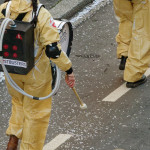 image: Image from the photoset ‘
esch/uelzecht (lv)
’.