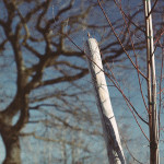 image: Image from the photoset ‘
esch/uelzecht (lviii)
’.