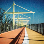 image: Image from the photoset ‘
esch/uelzecht (lviii)
’.