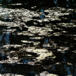 image: Image from the photoset ‘
echternach (i)
’.