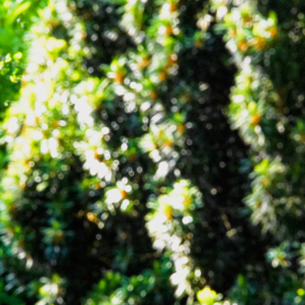 image: This is ‘
esch/uelzecht (lix) 2
’.